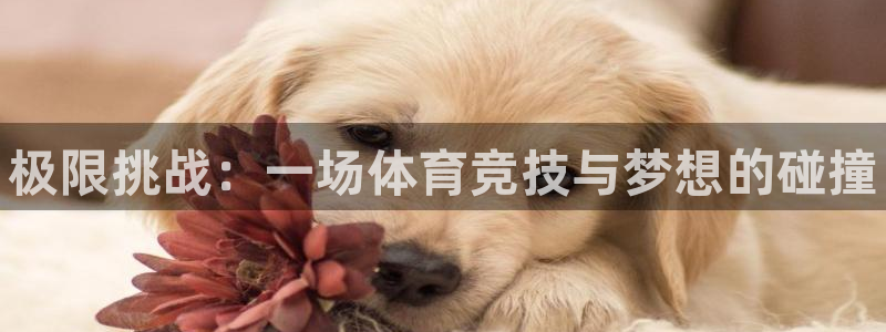 oety欧亿体育官网下载招商电话地址查询:极限挑战:一场体育