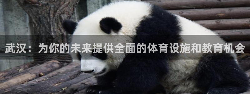 oety欧亿体育官网下载招商电话号码查询:武汉:为你的未来提